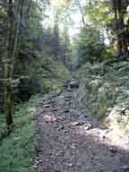 Steiniger Waldweg