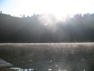 Schwimmen in Nebelschwaden