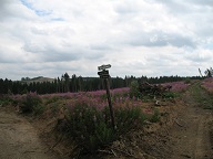 Mal wieder ein Wegweiser