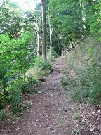 Waldweg