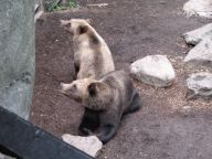 Bj&ouml;rn und Benny