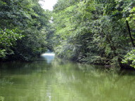 Zwischen Woterfitz- und Leppinsee