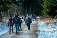 Wanderung im Osterwald