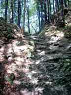 Treppen nach Kirchwald