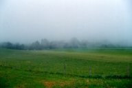 Hof mit wenig Nebel